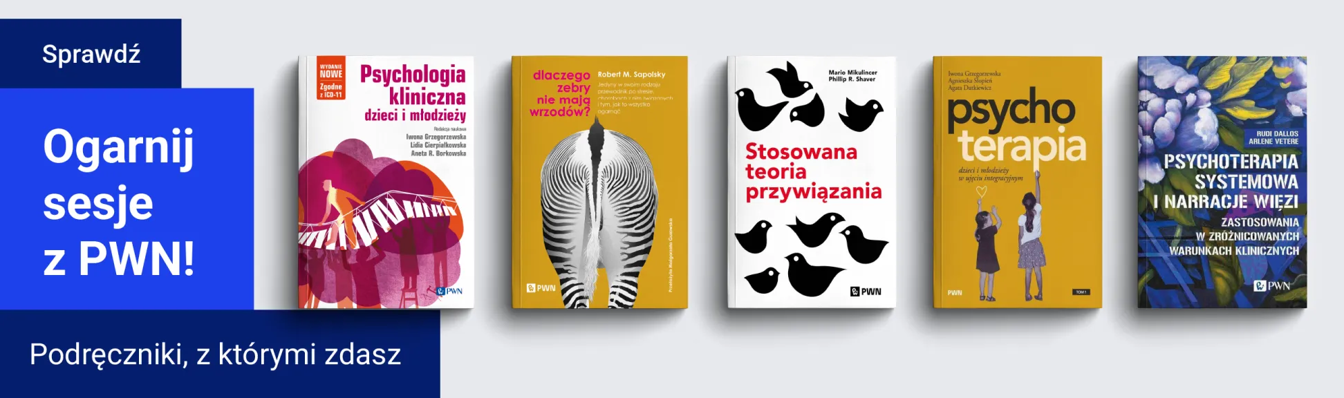 Szybko, skutecznie, z PWN do celu!