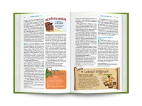 Pismo Święte dla młodych. Biblia tysiąclecia, zdjęcie 8