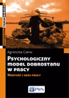 Psychologiczny model dobrostanu w pracy. Wartość i sens pracy - zdjęcie