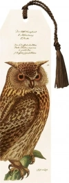 Zakładka 152 ze wstążką Sowa - zdjęcie