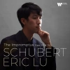 Schubert: The Impromptus Opp. 90 & 142, CD - zdjęcie
