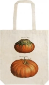 Torba bawełniana STBAG 76 Dynie Szoperka - zdjęcie