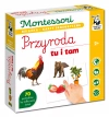 Montessori. Przyroda tu i tam. Karty sensoryczne z książeczką - zdjęcie