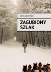 Zagubiony szlak - zdjęcie