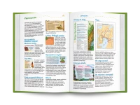 Pismo Święte dla młodych. Biblia tysiąclecia, zdjęcie 5