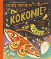 Co się kryje w kokonie? Fascynujące ciekawostki o ćmach i motylach - zdjęcie