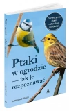 Ptaki w ogrodzie - jak je rozpoznawać - zdjęcie