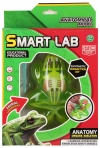 Zestaw Naukowca Anatomia Żaba Mega Creative 571665 - zdjęcie