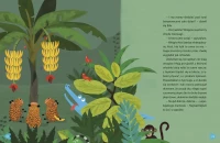 Kapibara Barbara i małpie figle, zdjęcie 3