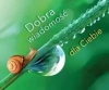 Perełka, "Dobra wiadomość dla Ciebie" - zdjęcie