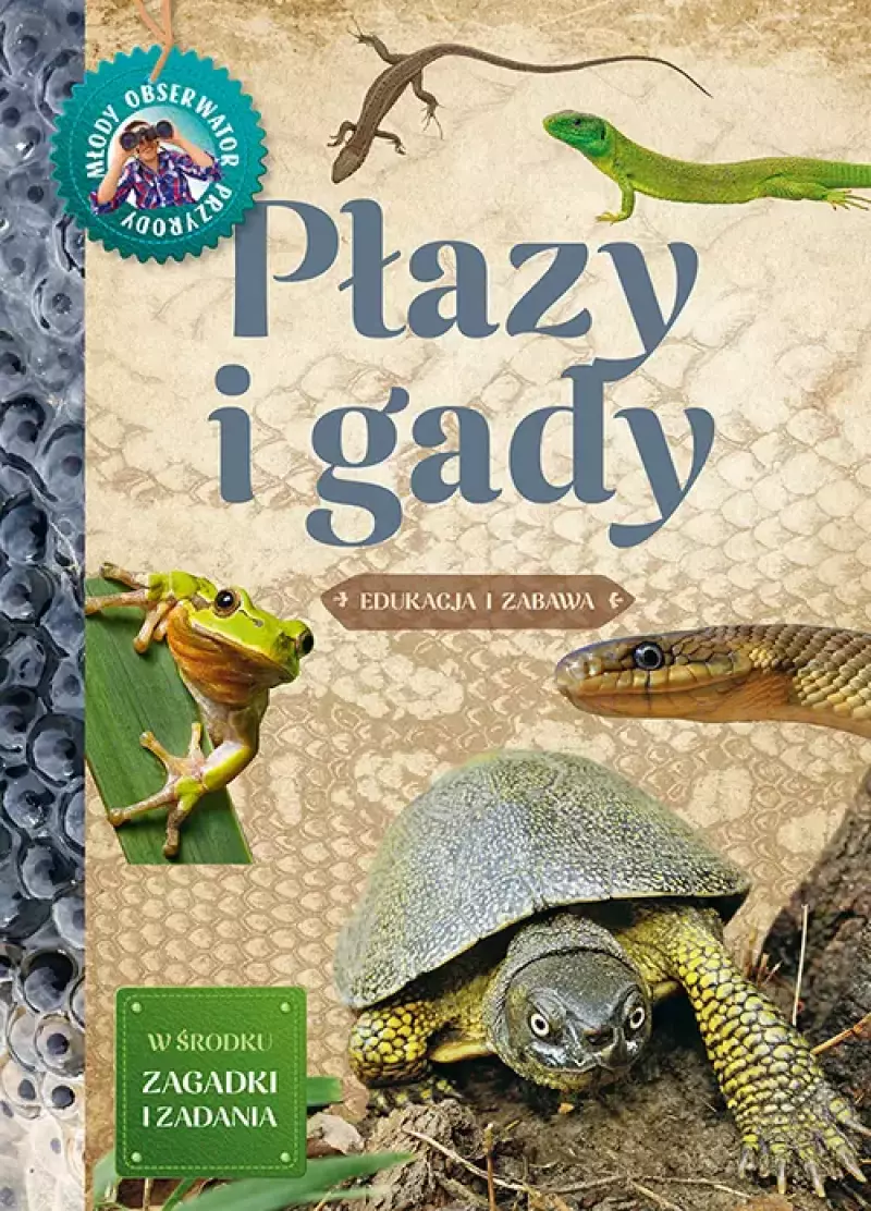 Płazy i gady - Iwona Wróbel