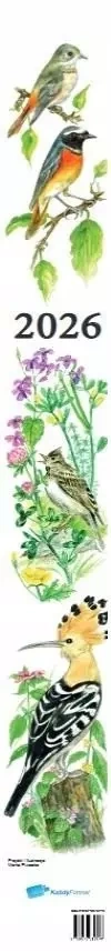 Kalendarz 2026 Ptaki - zdjęcie