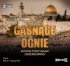 Gasnące ognie. Audiobook - zdjęcie