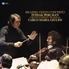 Brahms: Violin Concerto, Winyl - zdjęcie