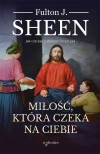 Miłość która czeka na ciebie - zdjęcie