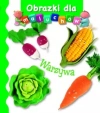 Warzywa. Obrazki dla maluchów - zdjęcie