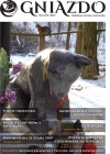 Gniazdo 1(19)/2019 - zdjęcie