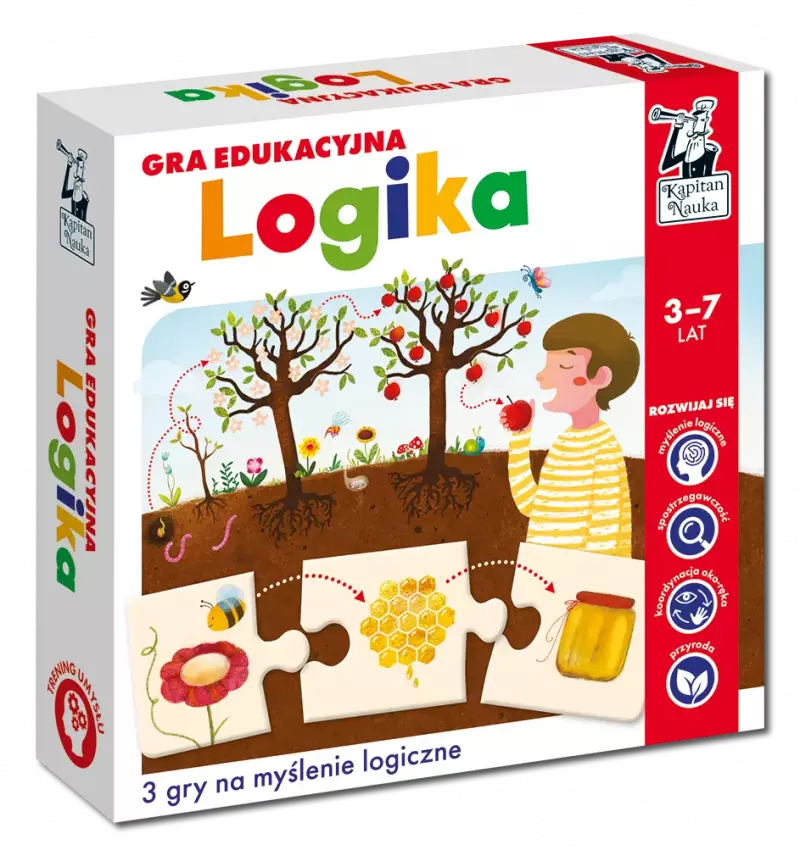 Gra edukacyjna. Logika