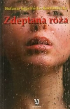 Zdeptana róża - zdjęcie