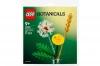 LEGO Botanicals Kwiaty polne saszetka 30701 - zdjęcie
