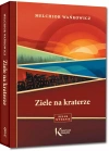 Ziele na kraterze - zdjęcie