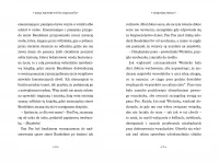 Seria niefortunnych zdarzeń. Tom 3. Ogromne okno, zdjęcie 3