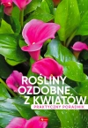 Rośliny ozdobne z kwiatów. Poradnik praktyczny - zdjęcie