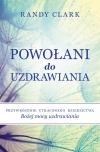 Powołani do uzdrawiania - zdjęcie