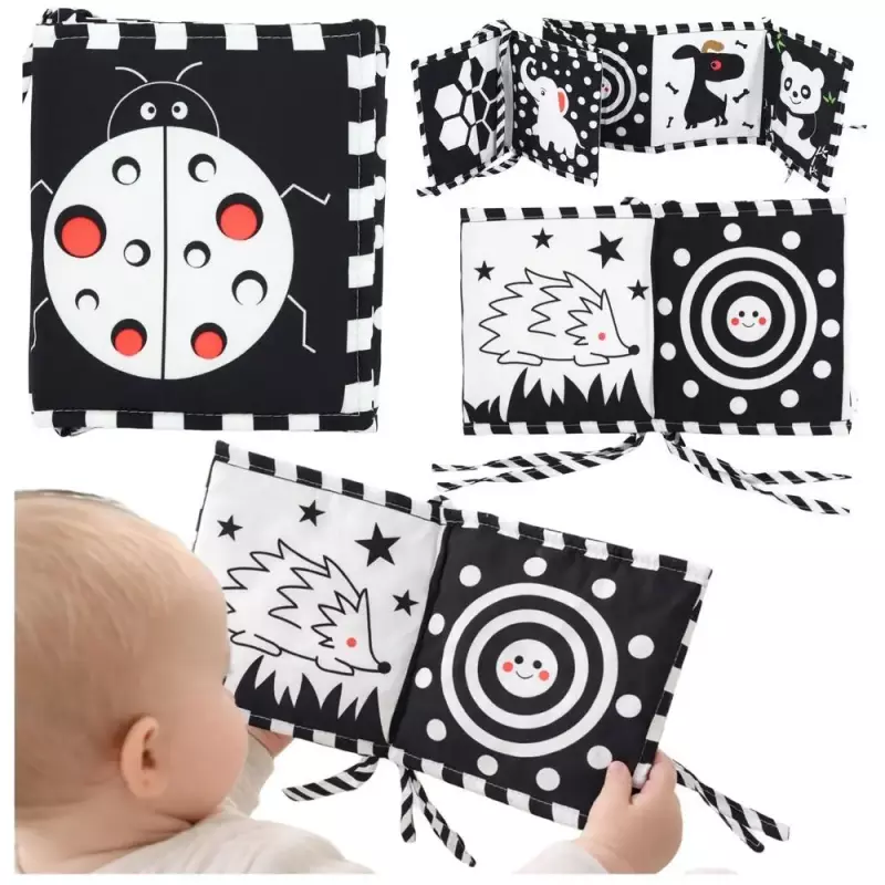 Rozkłądana książeczka edukacyjna 2w1