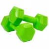 Zestaw Hantli Kompozytowych 2x1 Kg Enero Fit - zdjęcie