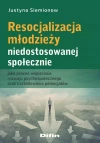 Resocjalizacja młodzieży niedostosowanej społecznie jako proces wspierania rozwoju psychospołecznego oraz kształtowania potencjałów - zdjęcie