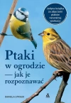 Ptaki w ogrodzie - jak je rozpoznawać - zdjęcie