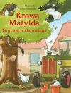 Krowa Matylda bawi się w chowanego BR - zdjęcie