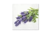 Serwetki Lavender Bunch mix bibuła [mm:] 330x330 Paw (TL702200) - zdjęcie
