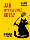 Jak wytresować kota? Historie prawdziwe - zdjęcie