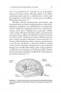 Zaburzony umysł. Co nietypowe mózgi mówią o nas samych, zdjęcie 12