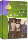 Ziele na kraterze (wydanie z opracowaniem i streszczeniem) - zdjęcie