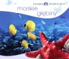Muzyka relaksacyjna. Morskie głębiny, CD - zdjęcie