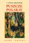 Puszcze polskie - zdjęcie