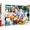 Puzzle 1000 elementów. Psy w ogrodzie - zdjęcie