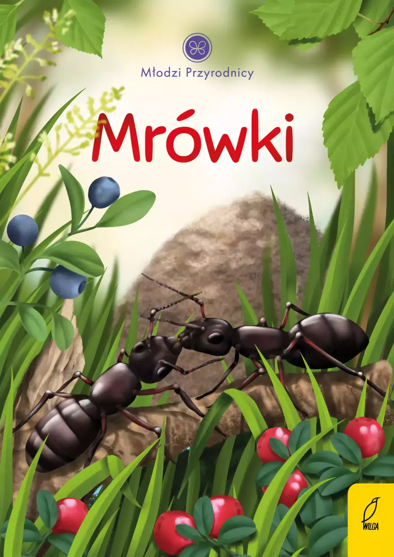 Młodzi przyrodnicy. Mrówki Młodzi przyrodnicy. Mrówki