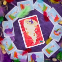 Oskubani. Humorystyczna gra karciana, zdjęcie 6