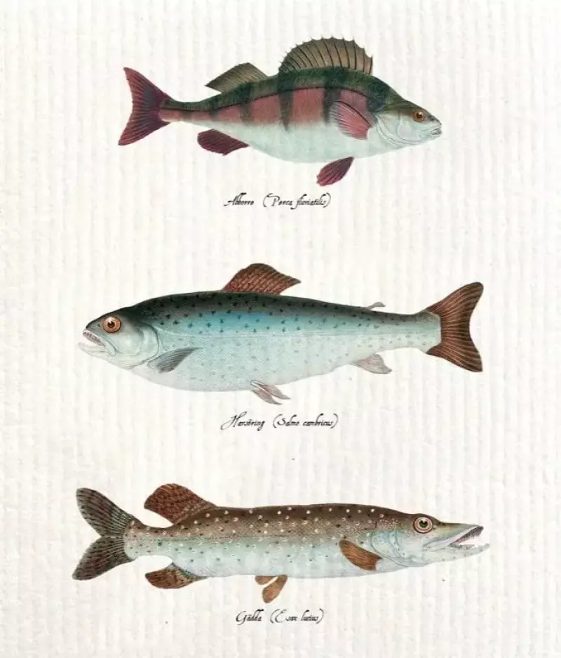 Ściereczka kuchenna Ryby