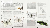 Gąsienice w czekoladzie. I inne tajemnice motyli, zdjęcie 2