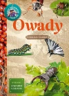 Owady - zdjęcie