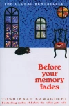 Before Your Memory Fades - zdjęcie