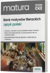 Bank motywów literackich. Do matury i wypracowań - zdjęcie