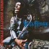 When Disaster Strikes [VINYL], CD - zdjęcie