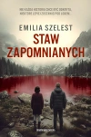 Staw Zapomnianych - zdjęcie