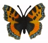 Motyl rusałka pokrzywnik M - zdjęcie